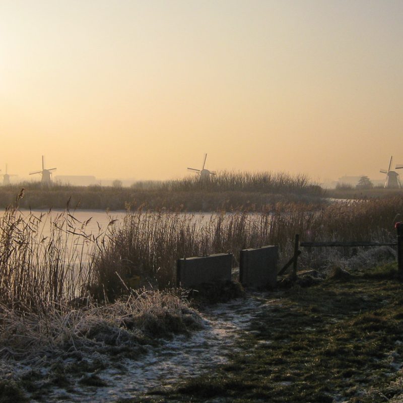 Kinderdijk