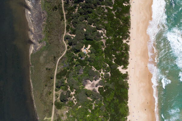 Dee Why Beach