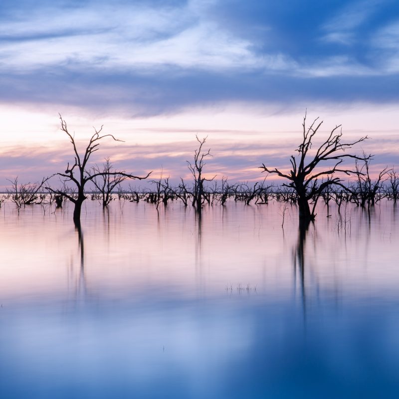 Menindee Memory
