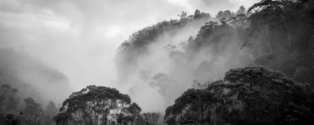 Blue Mountains