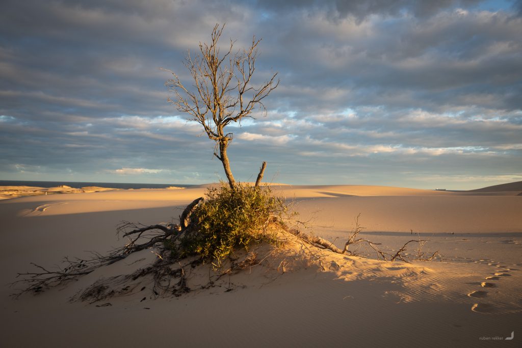 Stockton Sand Dunes