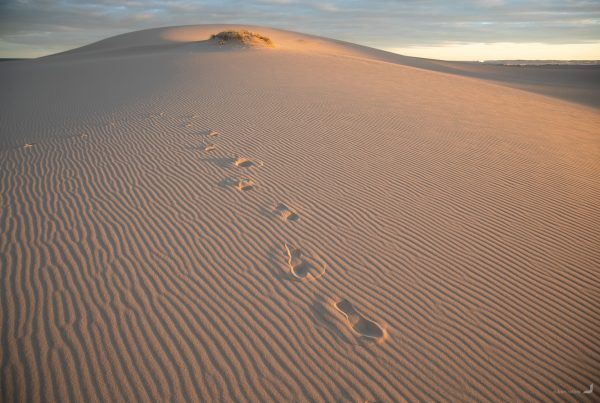 Stockton Sand Dunes