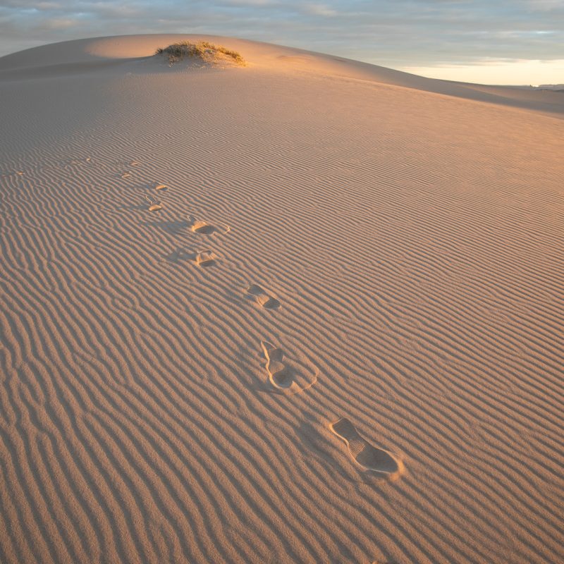 Stockton Sand Dunes