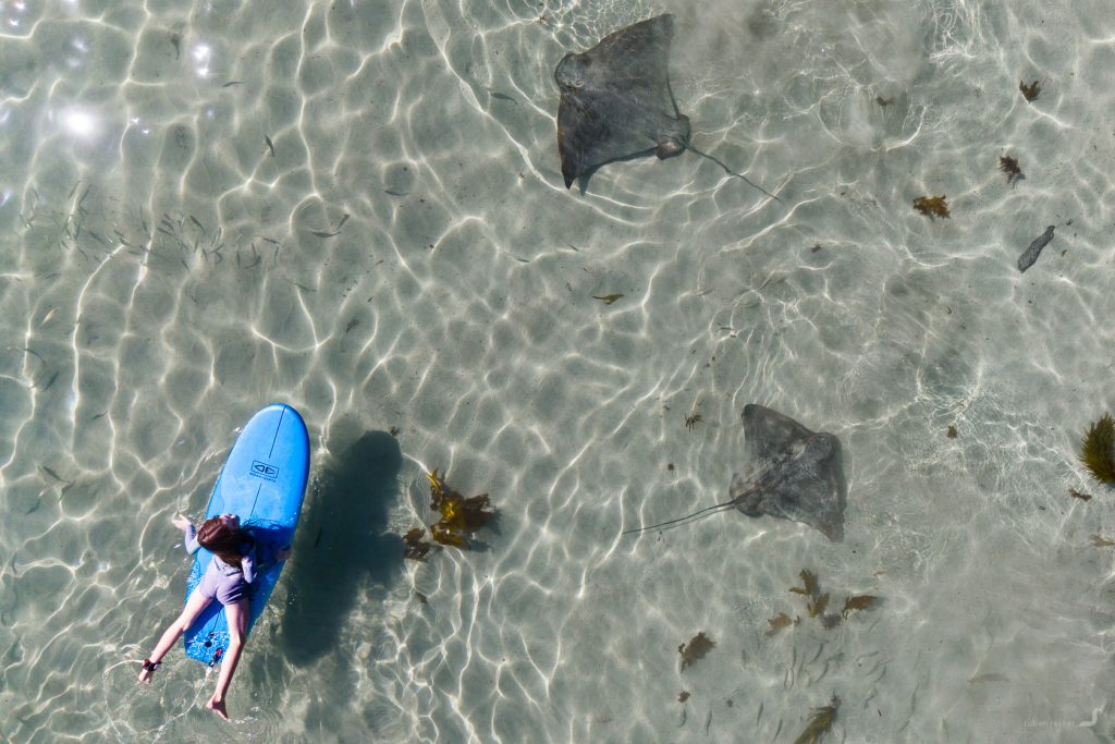 Boat Harbour Beach