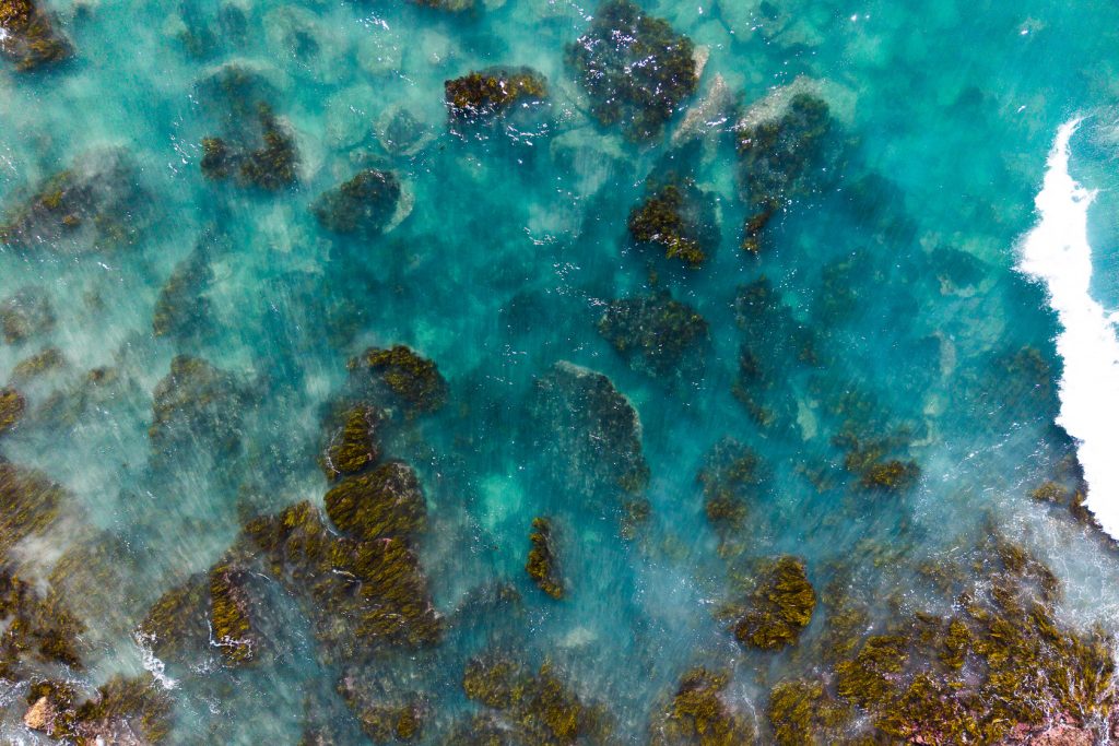 Boat Harbour Beach